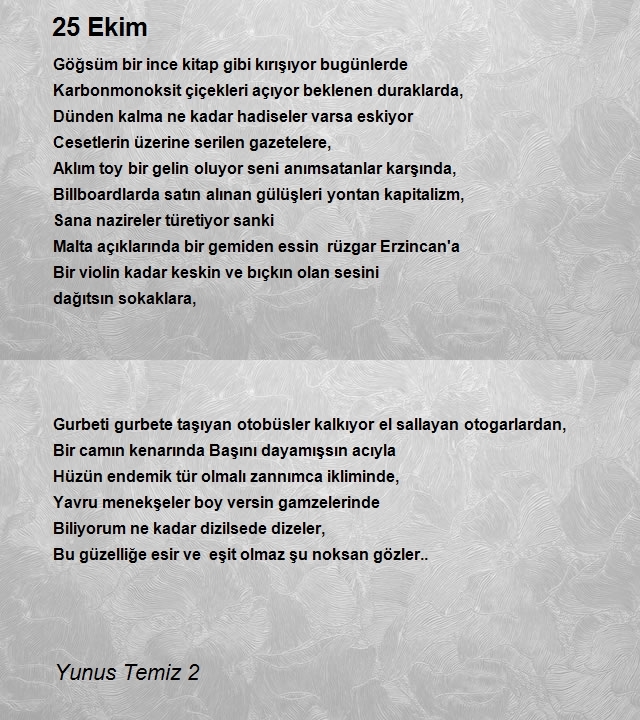 Yunus Temiz 2