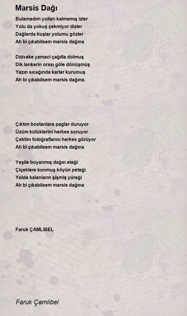 Faruk Çamlibel