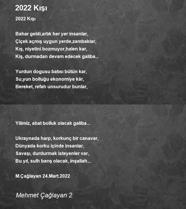 Mehmet Çağlayan 2