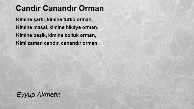 Eyyup Akmetin