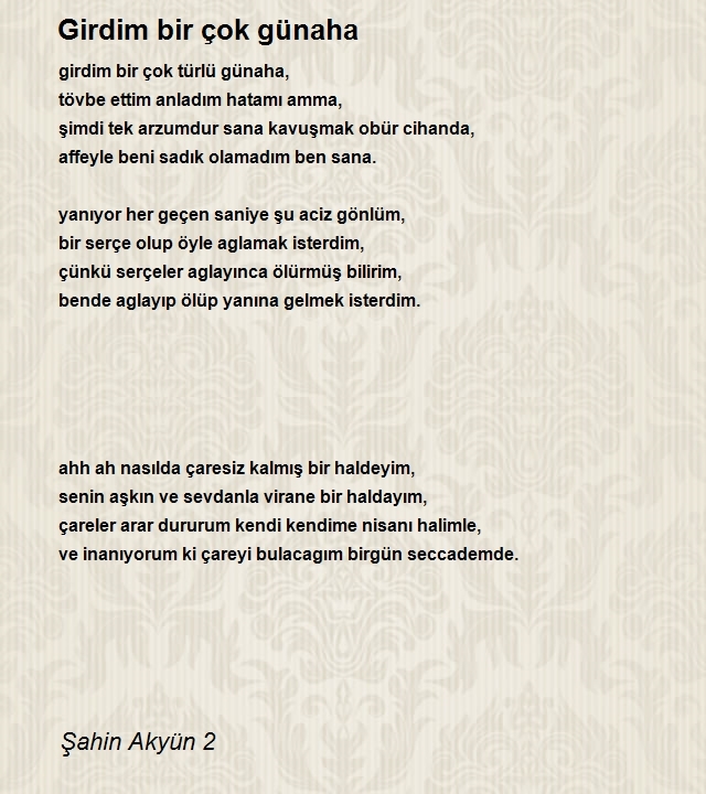 Şahin Akyün 2