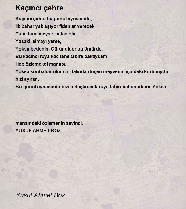 Yusuf Ahmet Boz