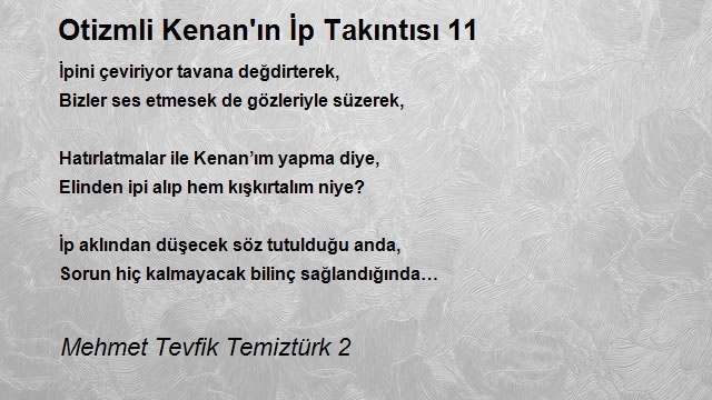 Mehmet Tevfik Temiztürk 2