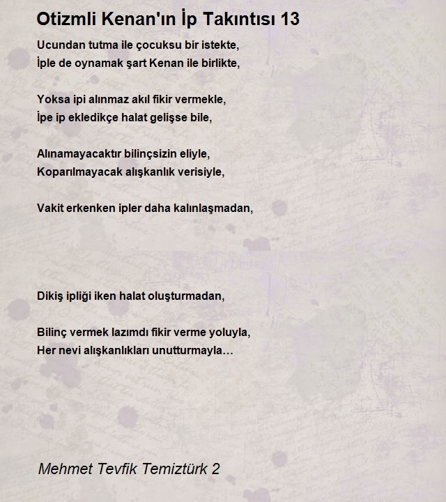 Mehmet Tevfik Temiztürk 2