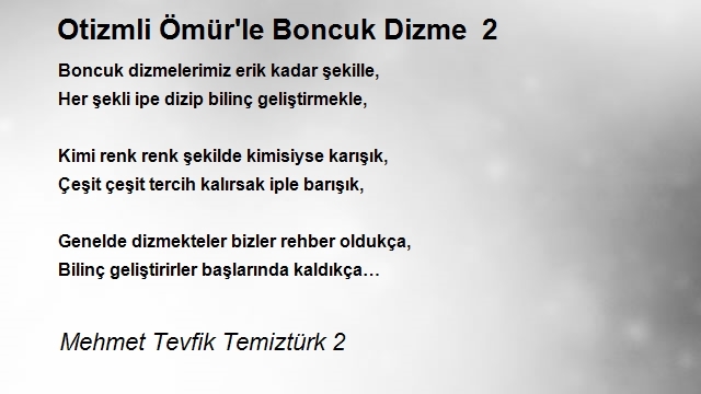 Mehmet Tevfik Temiztürk 2