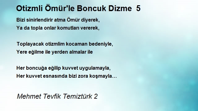 Mehmet Tevfik Temiztürk 2