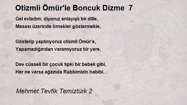 Mehmet Tevfik Temiztürk 2