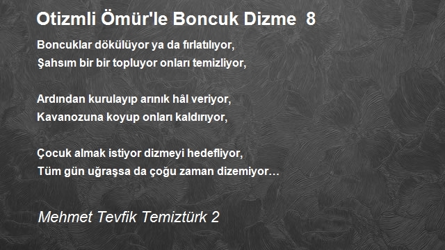 Mehmet Tevfik Temiztürk 2