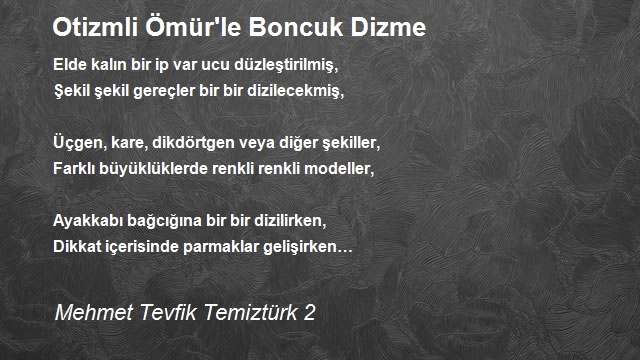 Mehmet Tevfik Temiztürk 2