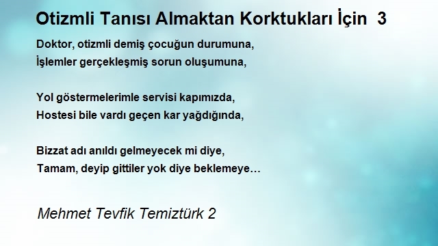 Mehmet Tevfik Temiztürk 2