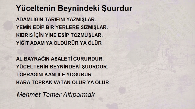 Mehmet Tamer Altıparmak