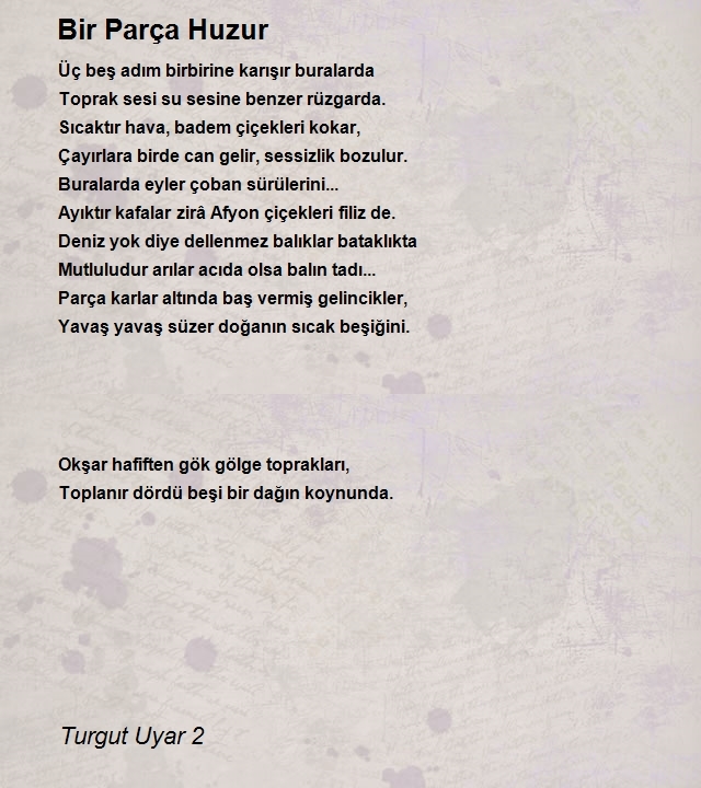 Turgut Uyar 3