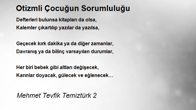 Mehmet Tevfik Temiztürk 2