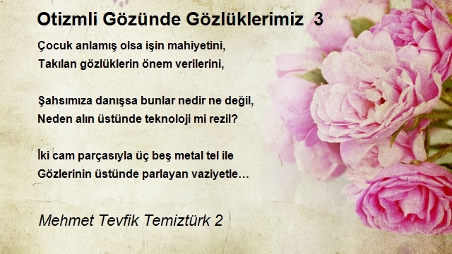 Mehmet Tevfik Temiztürk 2