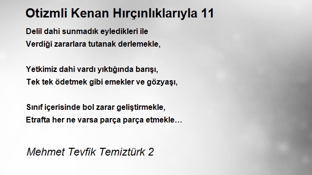 Mehmet Tevfik Temiztürk 2