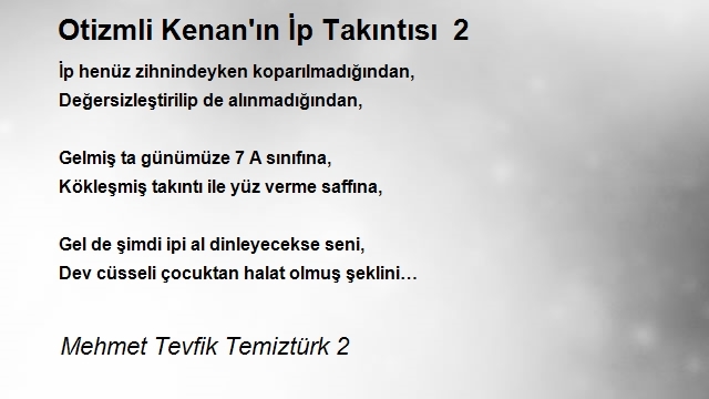 Mehmet Tevfik Temiztürk 2