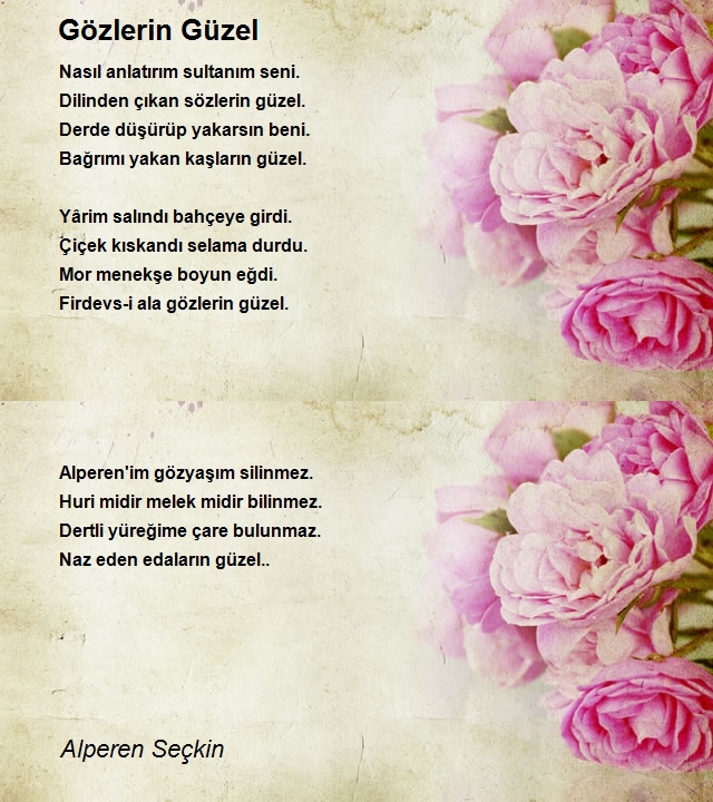 Alperen Seçkin