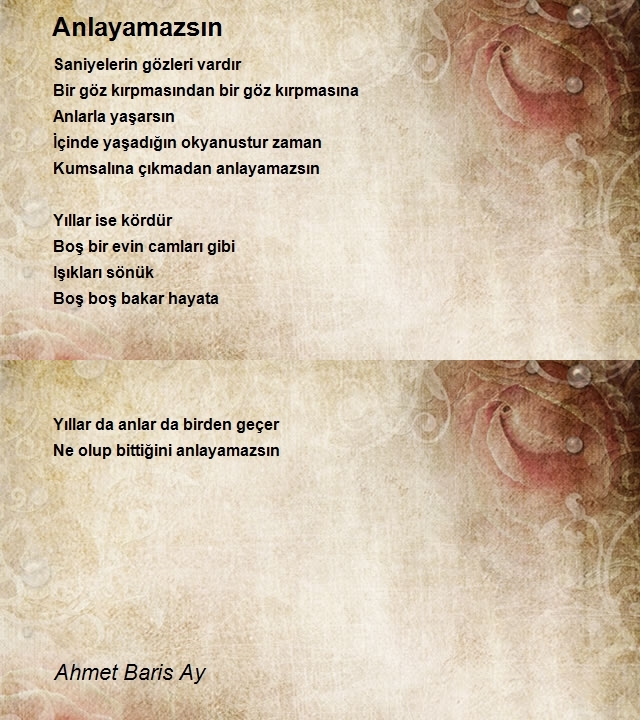 Ahmet Baris Ay