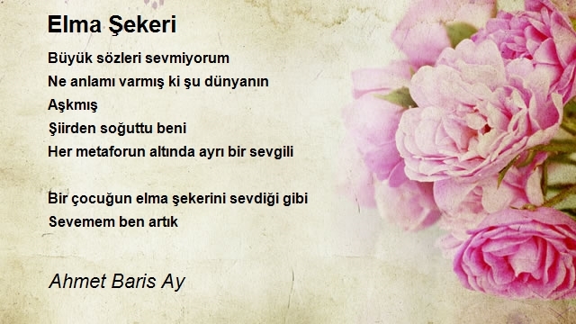 Ahmet Baris Ay