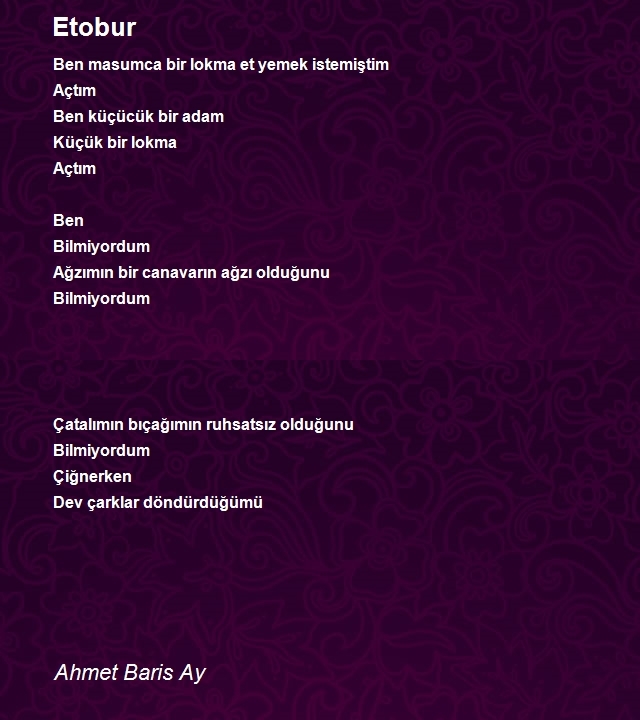 Ahmet Baris Ay