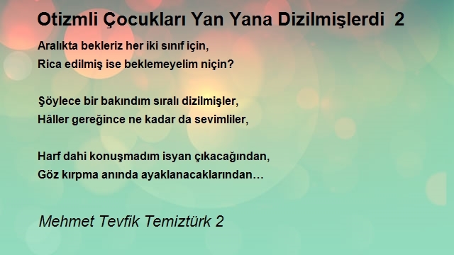 Mehmet Tevfik Temiztürk 2