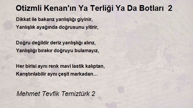 Mehmet Tevfik Temiztürk 2