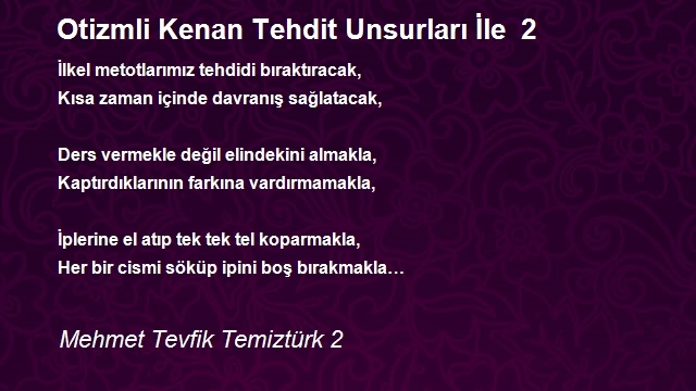 Mehmet Tevfik Temiztürk 2