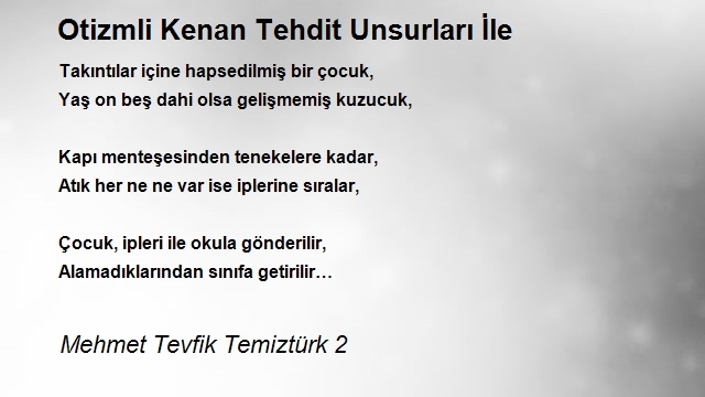 Mehmet Tevfik Temiztürk 2