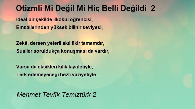 Mehmet Tevfik Temiztürk 2