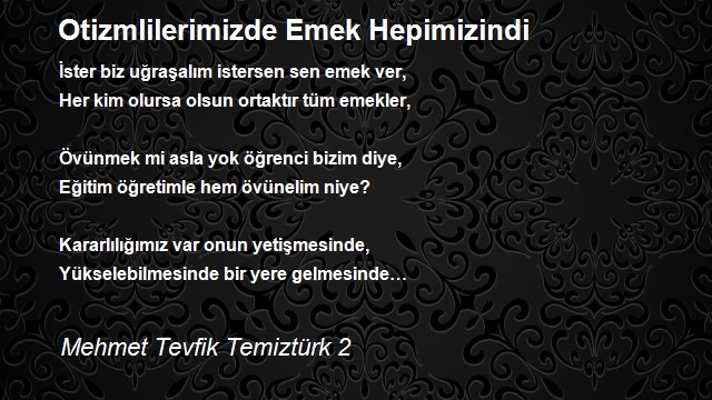 Mehmet Tevfik Temiztürk 2