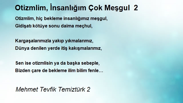 Mehmet Tevfik Temiztürk 2