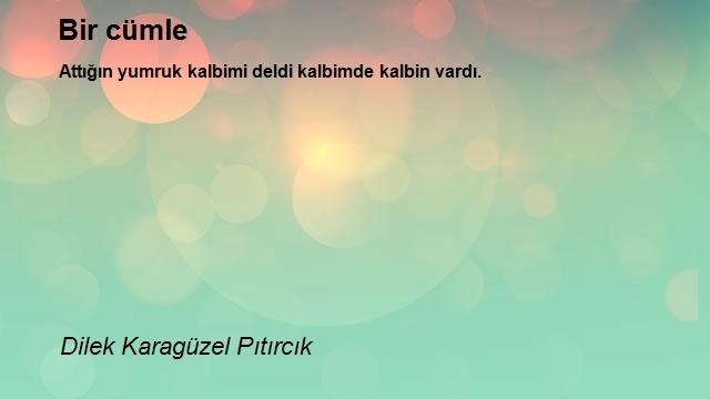 Dilek Karagüzel Pıtırcık