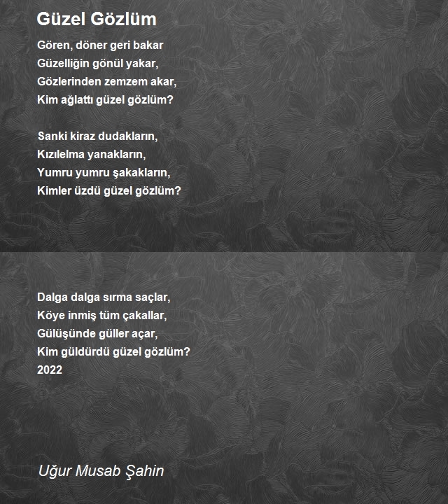 Uğur Musab Şahin