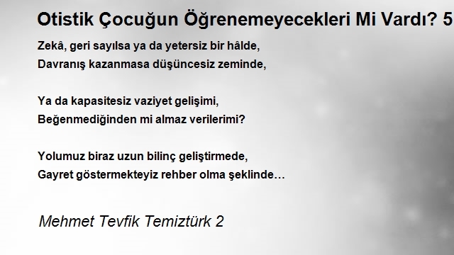 Mehmet Tevfik Temiztürk 2