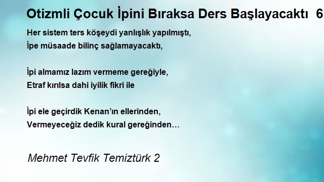 Mehmet Tevfik Temiztürk 2