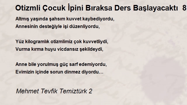 Mehmet Tevfik Temiztürk 2