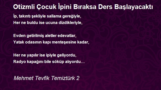 Mehmet Tevfik Temiztürk 2