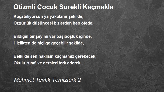 Mehmet Tevfik Temiztürk 2