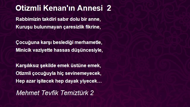 Mehmet Tevfik Temiztürk 2