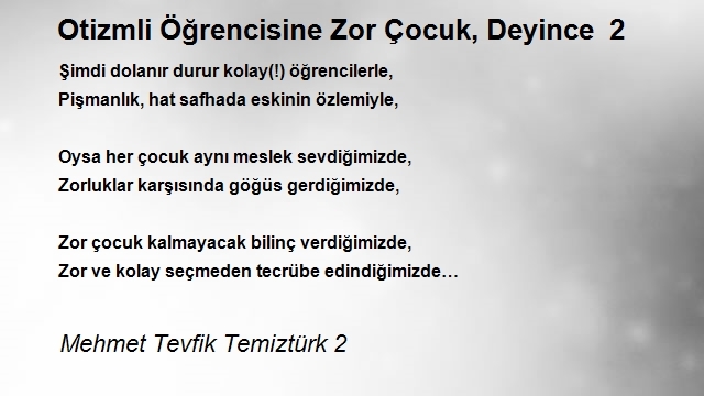 Mehmet Tevfik Temiztürk 2