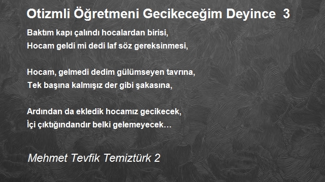 Mehmet Tevfik Temiztürk 2