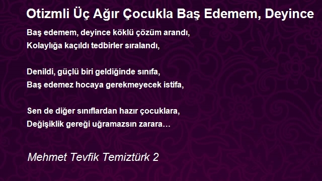 Mehmet Tevfik Temiztürk 2