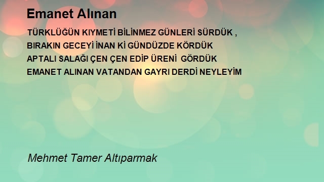 Mehmet Tamer Altıparmak