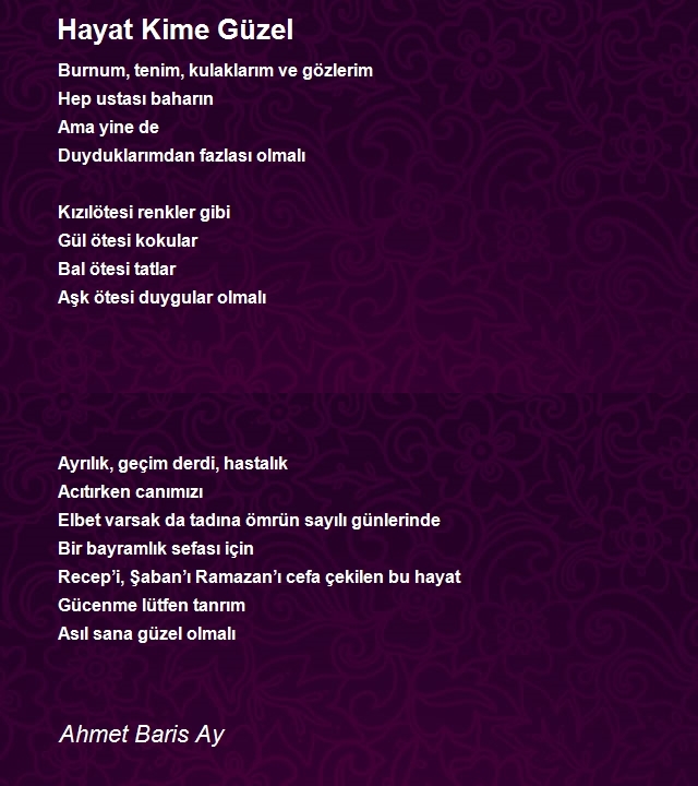 Ahmet Baris Ay