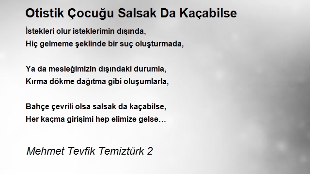 Mehmet Tevfik Temiztürk 2