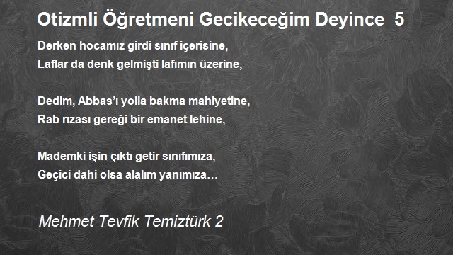 Mehmet Tevfik Temiztürk 2