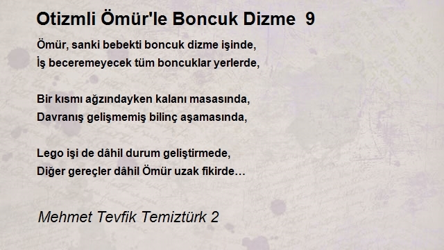 Mehmet Tevfik Temiztürk 2