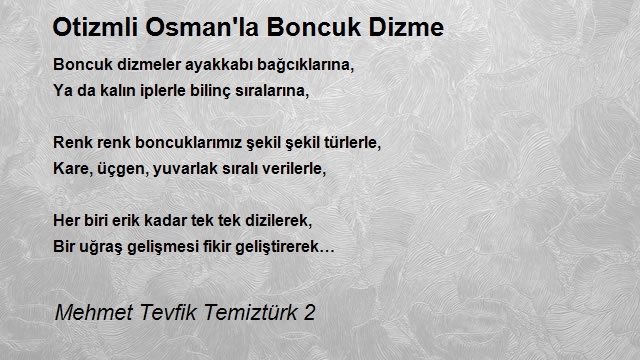 Mehmet Tevfik Temiztürk 2