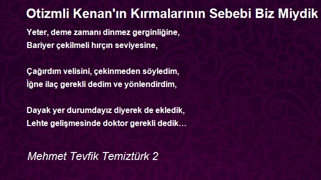 Mehmet Tevfik Temiztürk 2