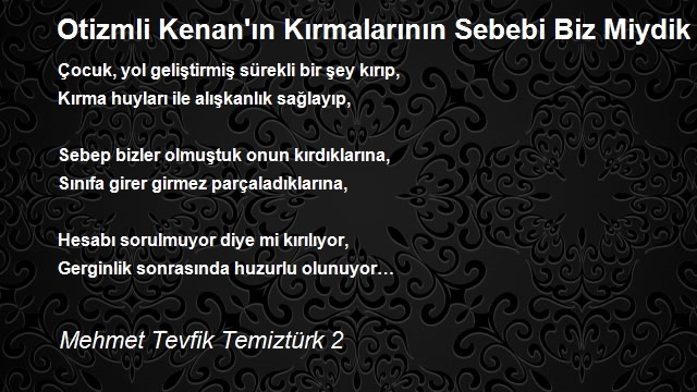 Mehmet Tevfik Temiztürk 2